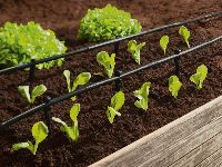 PARKSIDE® Tropfbewässerung-Starter-Set, 18-teilig