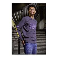 PUMA Borussia Dortmund BVB Street Soccer Crew Sweatshirt Herren anthrazit/lila, S (44/46 EU)