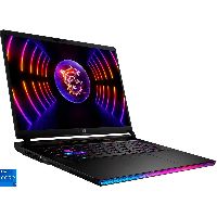 MSI Raider GE78HX 13VG-034, Gaming-Notebook