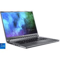 Acer Predator Triton 500 SE (PT516-51s-71M8), Gaming-Notebook