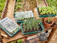 PARKSIDE® Anzuchtkasten-Set, mit 24 Einstätzen