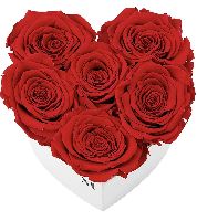 Rosenbox Herz I Infinity Flowerbox mit 6 konservierten Rosen