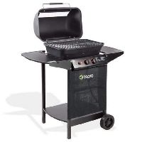 Tepro Gasgrill Lavasteingasgrill Irvine, 2-Brenner
