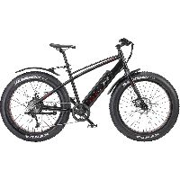 Telefunken Aufsteiger FM350 (2023), Pedelec